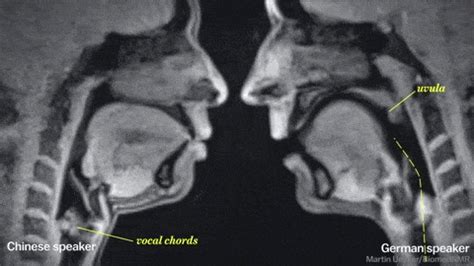 intercrural sex|Intercrural .